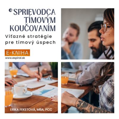 Sprievodca tímovým koučovaním - Víťazné stratégie pre úspech